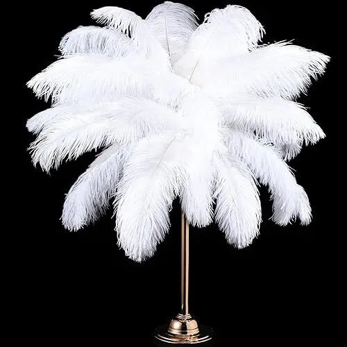 Decor Feathers 14"-16" White