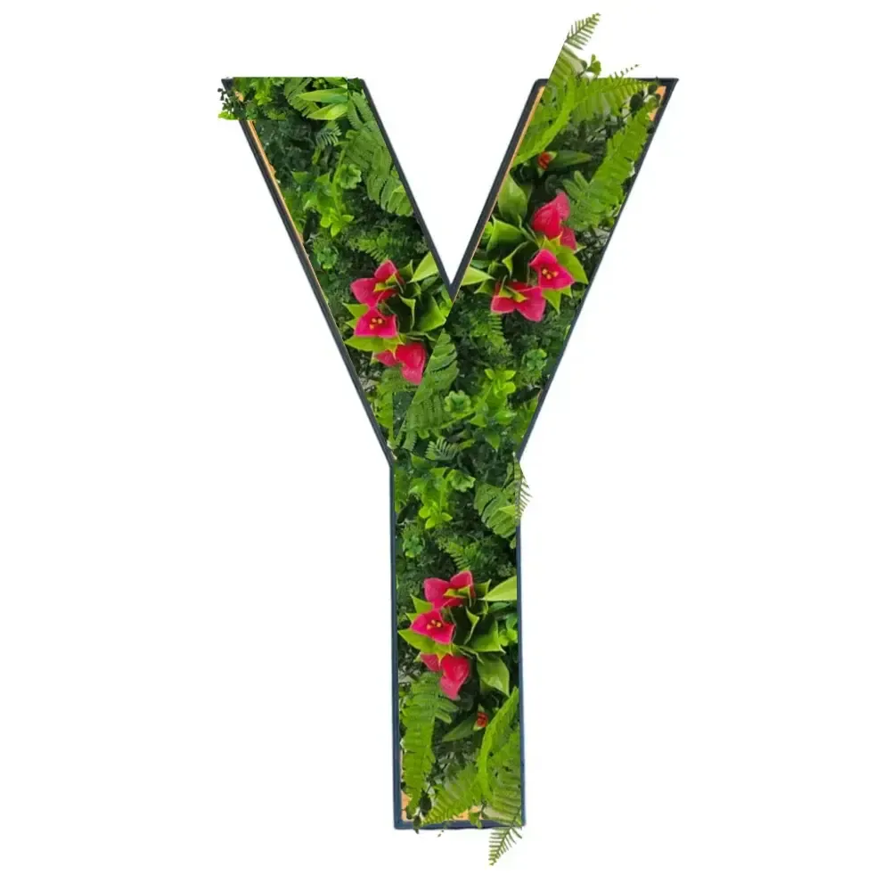 Botanical Letters (Y)