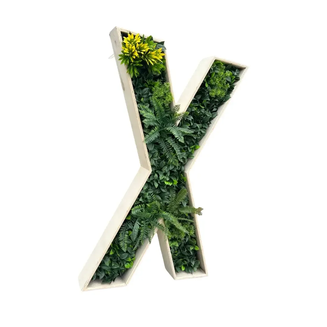 Botanical Letters (X)