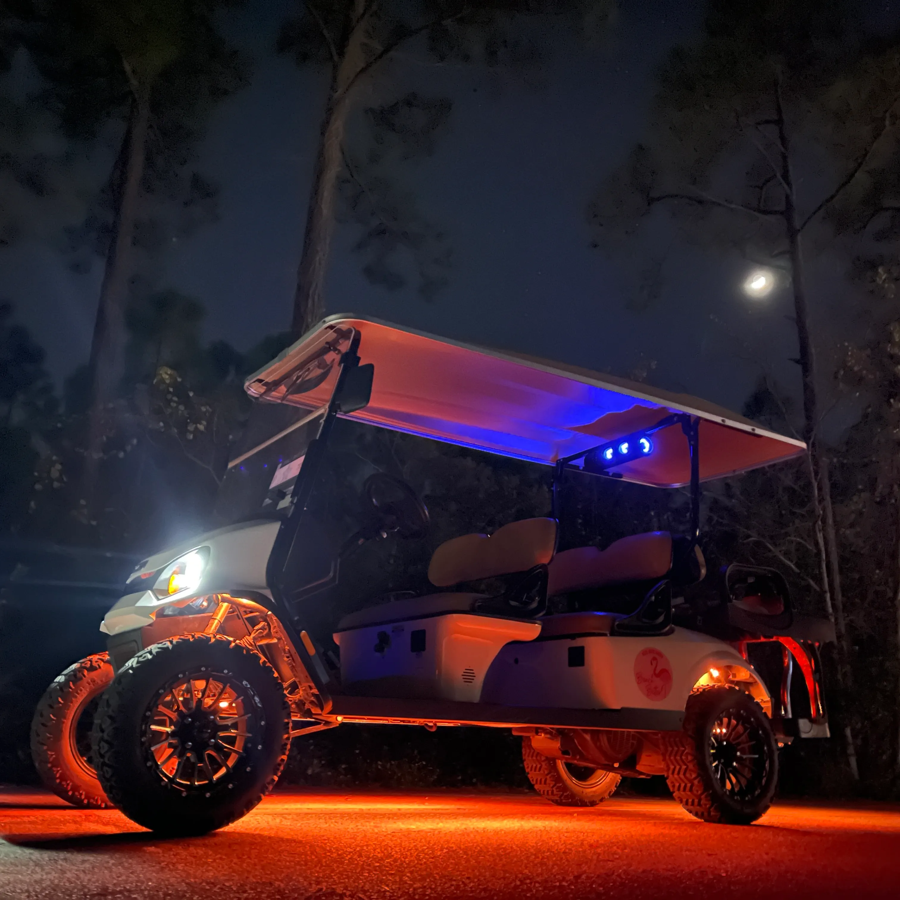 Gas Golf Cart Rental Packages