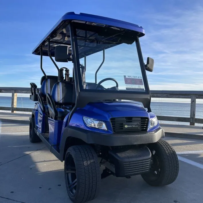 Halloween Weekend | Electric, 6 Seats | Delivery To Miramar Beach | $125 for 2 Days