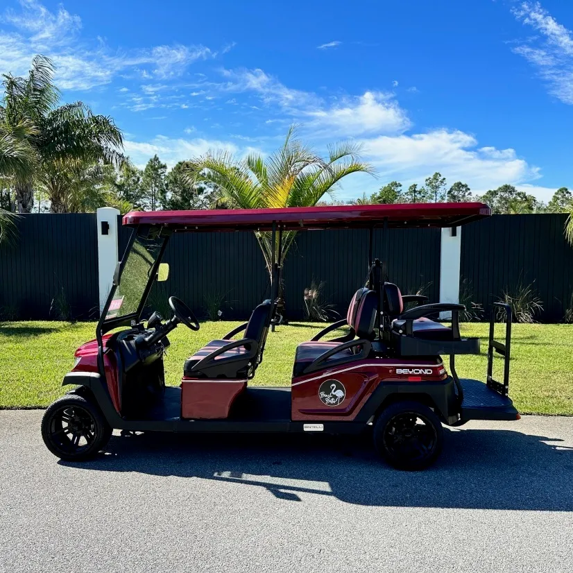 Store Pickup, Electric, 6 Seats