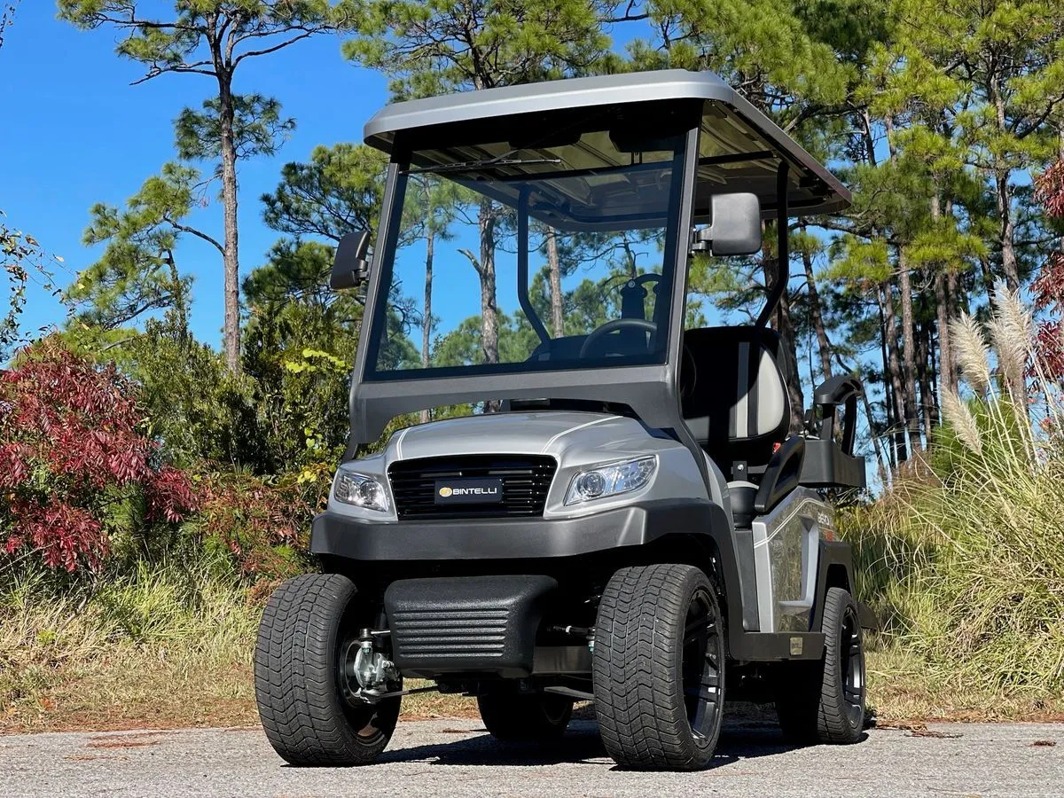 Halloween Weekend | Electric, 4 Seats | Delivery To Seagrove or Inlet Beach | $100 for 2 Days
