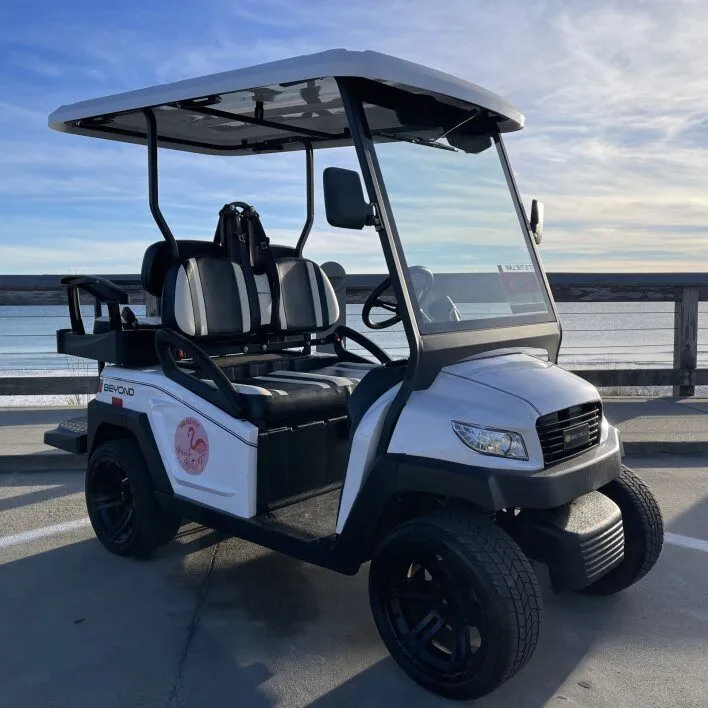 Halloween Weekend | Electric, 4 Seats | Store Pickup | $80 for 2 Days