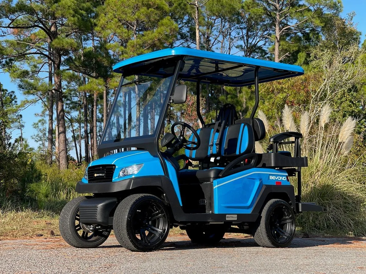 Halloween Weekend | Electric, 4 Seats | Delivery To Miramar Beach | $100 for 2 Days