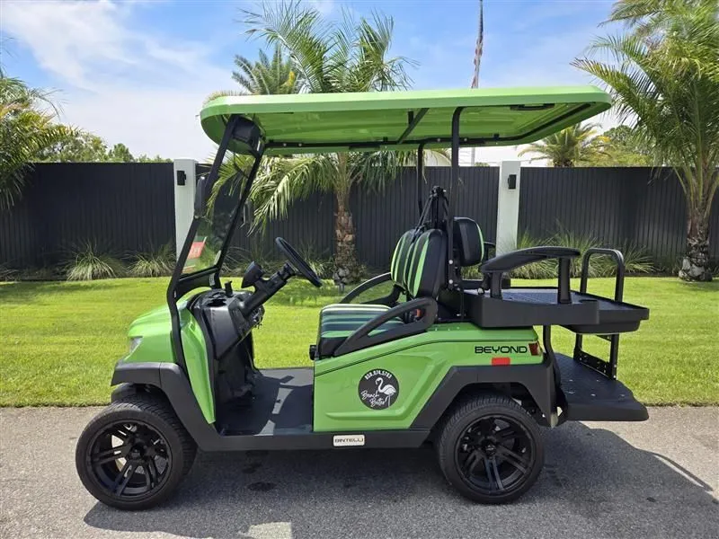 Halloween Weekend | Electric, 4 Seats | Delivery To Santa Rosa Beach | $100 for 2 Days