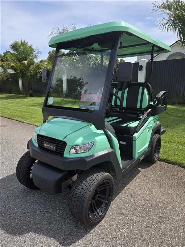 Electric, 4 Seats, Delivery To Destin 