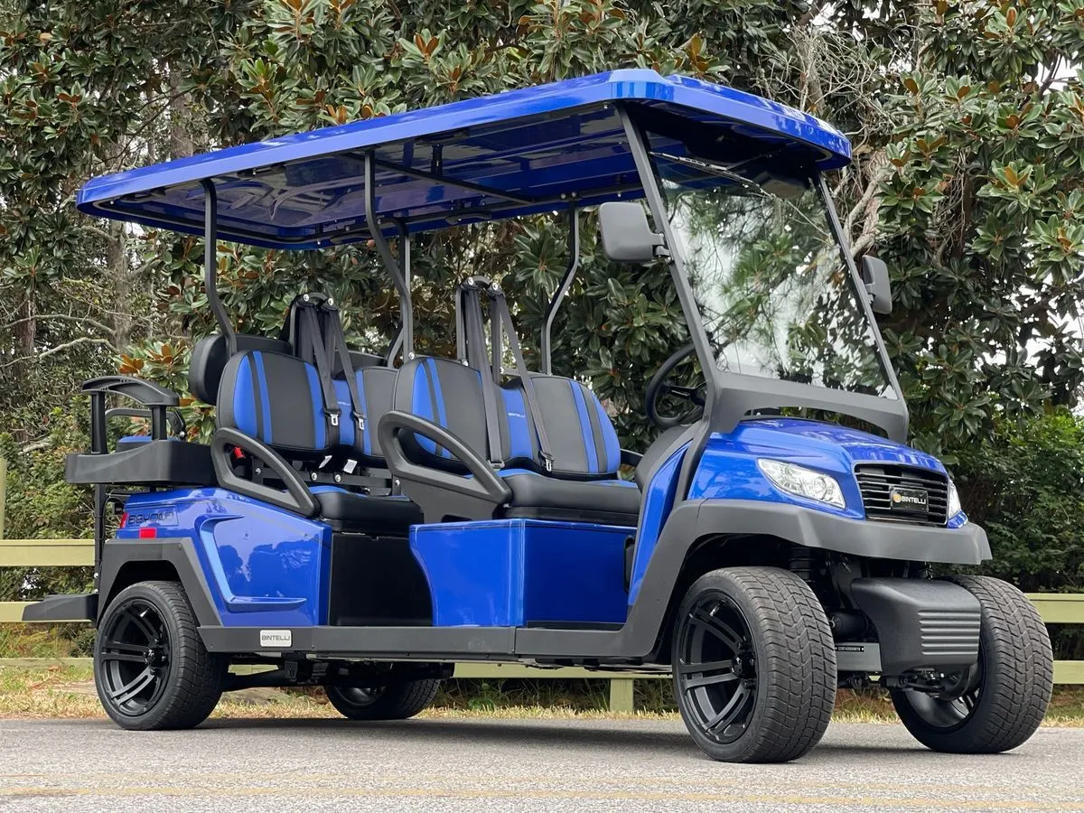 Halloween Weekend | Electric, 6 Seats | Delivery To Santa Rosa Beach | $125 for 2 Days
