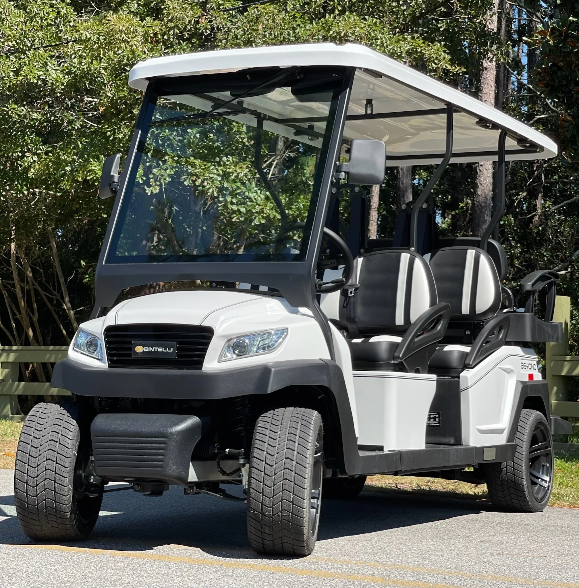  Electric, 6 Seats, Delivery To Seagrove or Inlet Beach