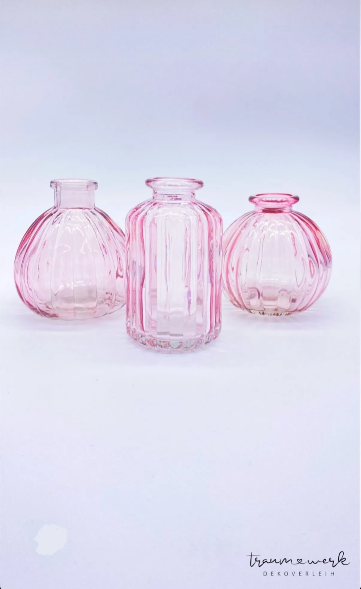 Vasen Rosa