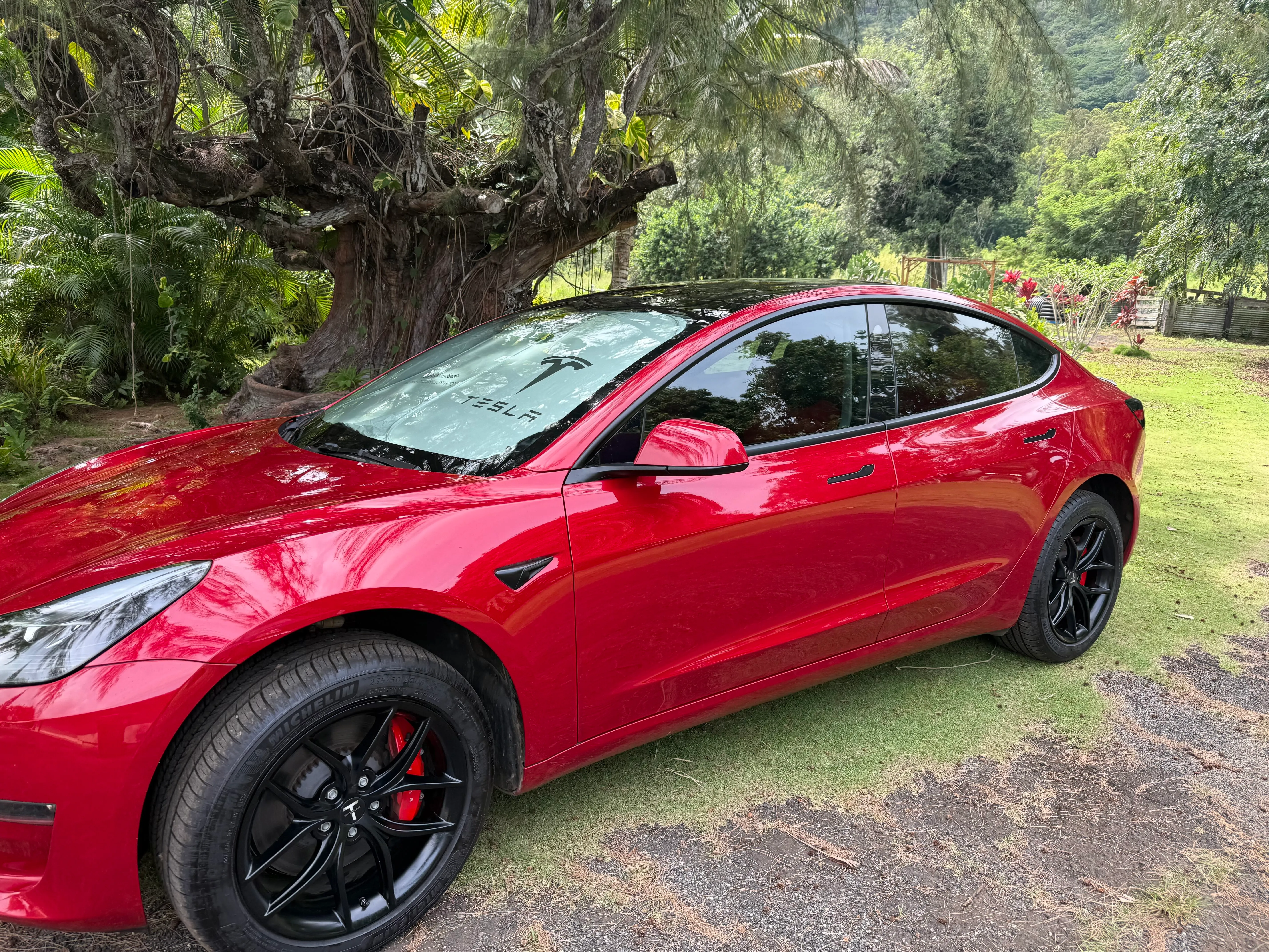Tesla Model 3 Performance 