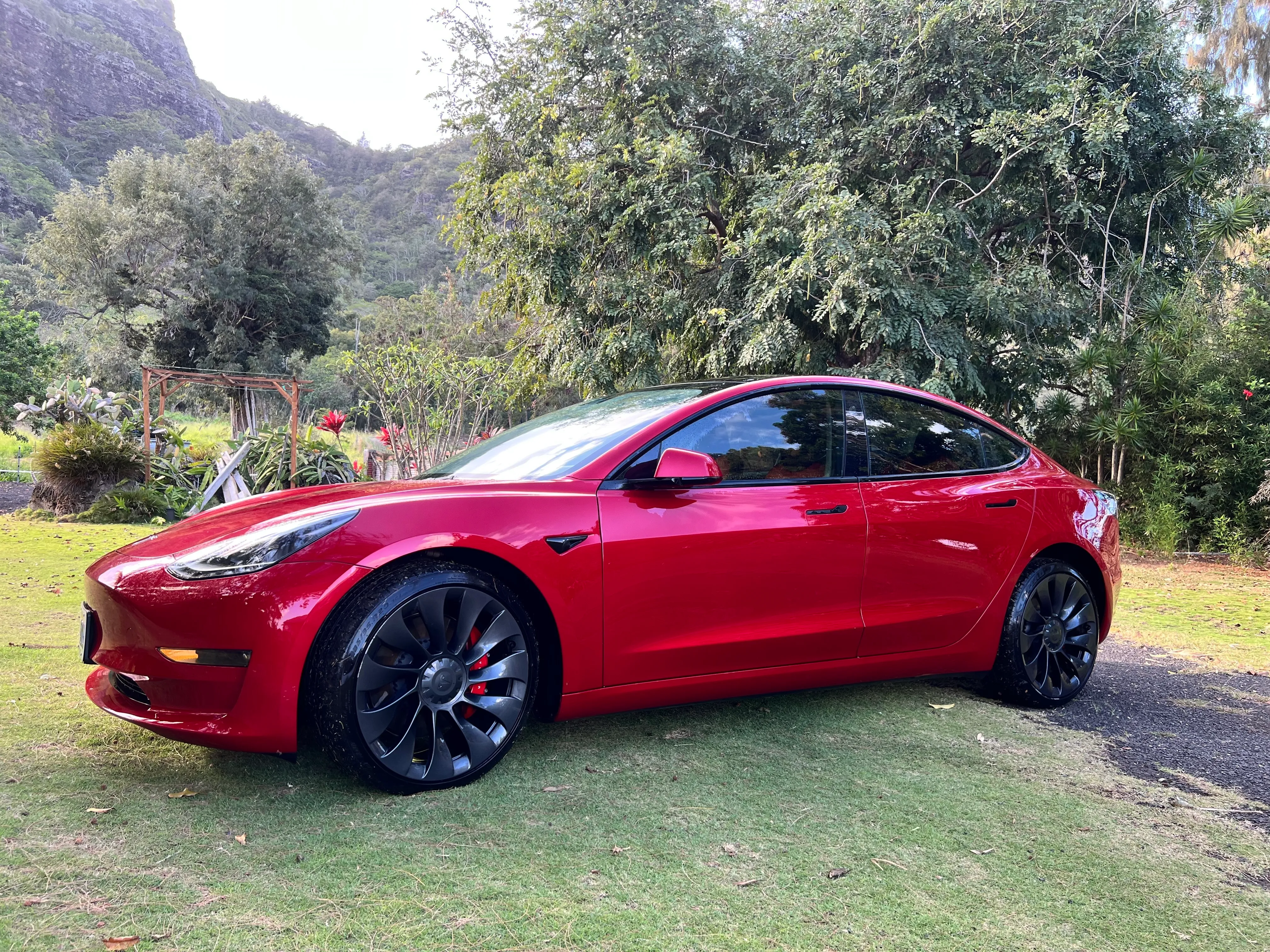 Tesla Model 3 Performance 