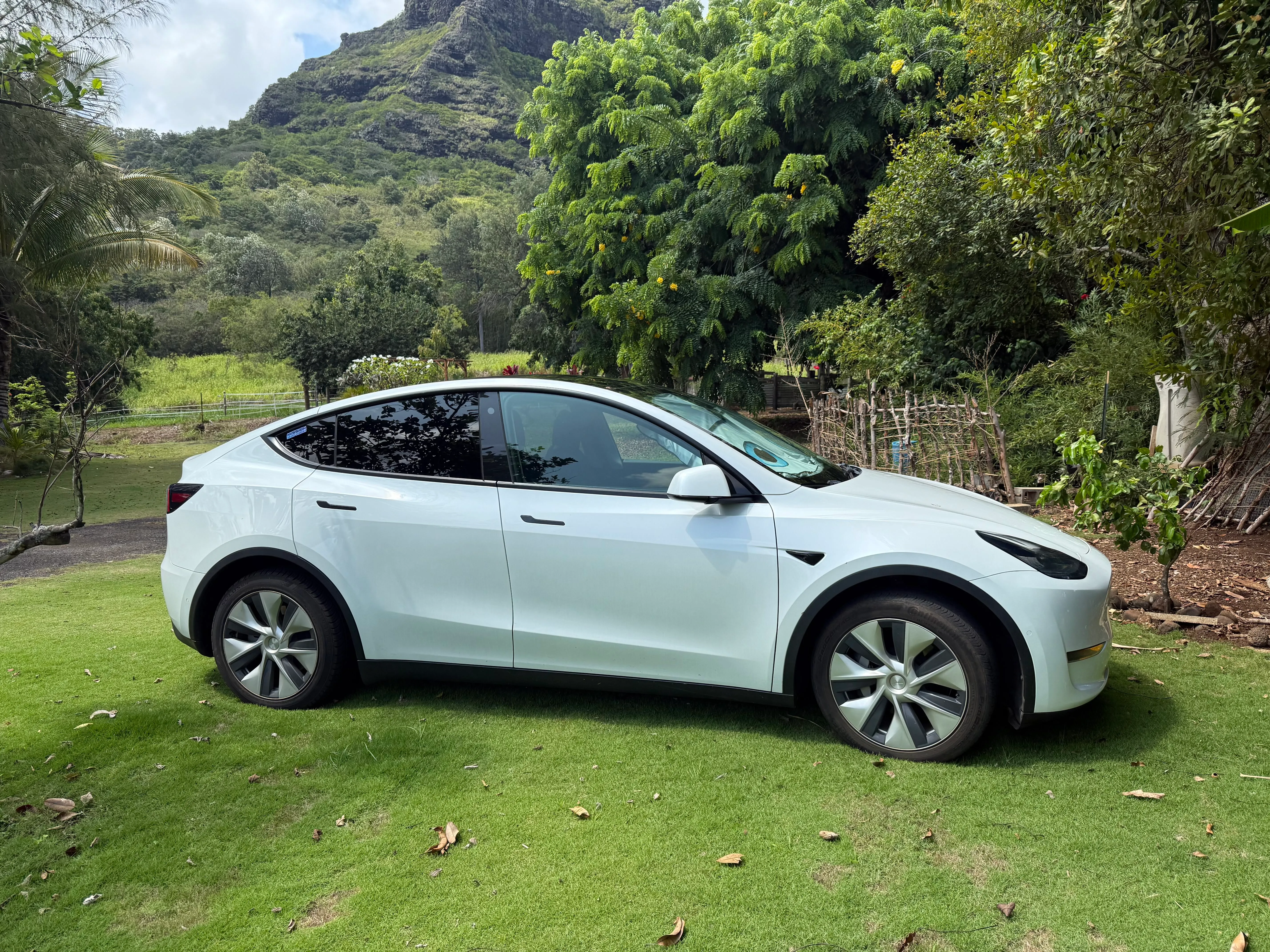 2022 Tesla Model Y Long Range Dual Motor