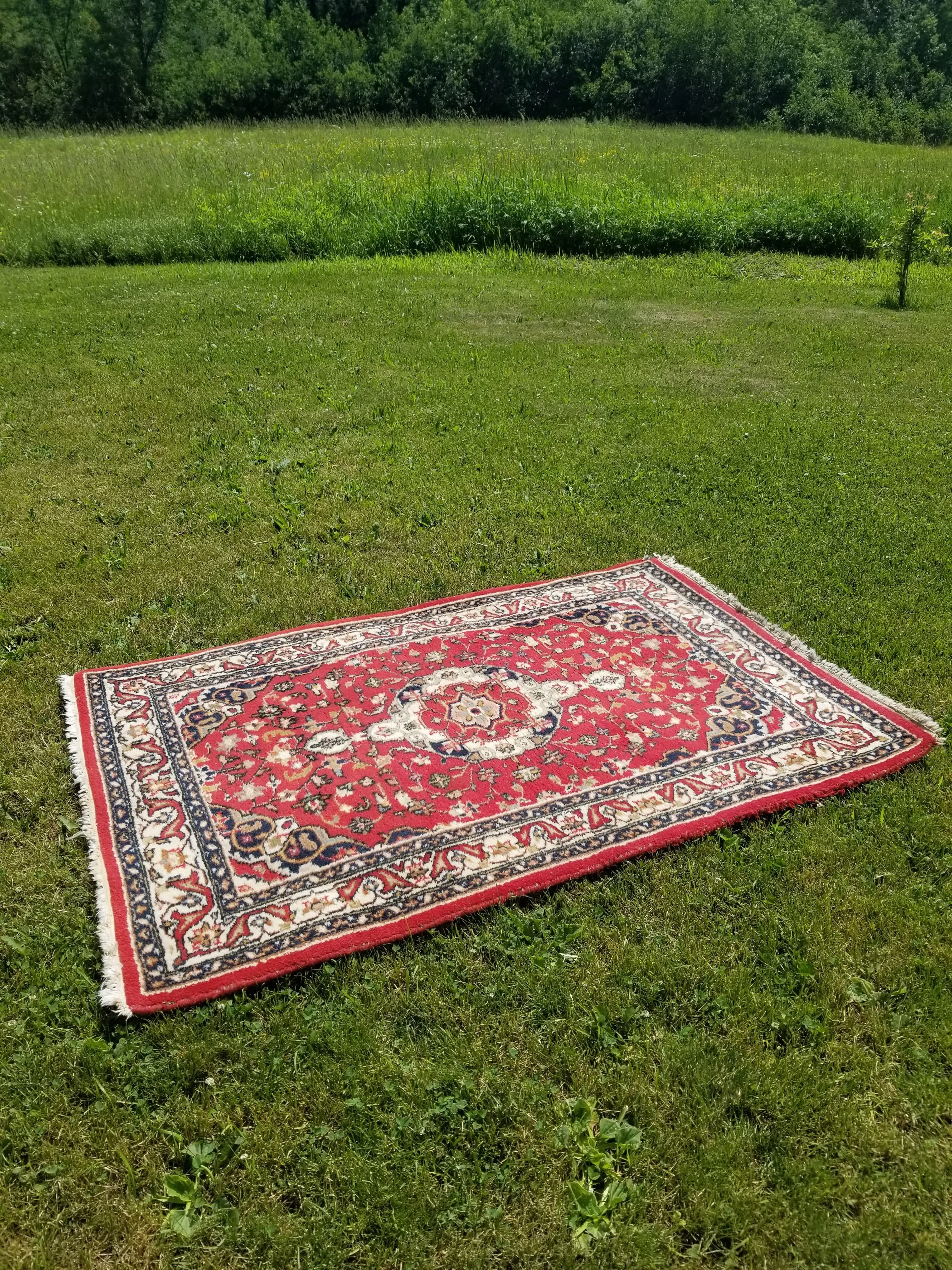 Red Rug