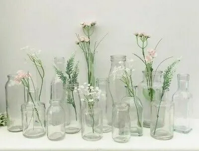 Glass Bottles, Jars + Bud Vases