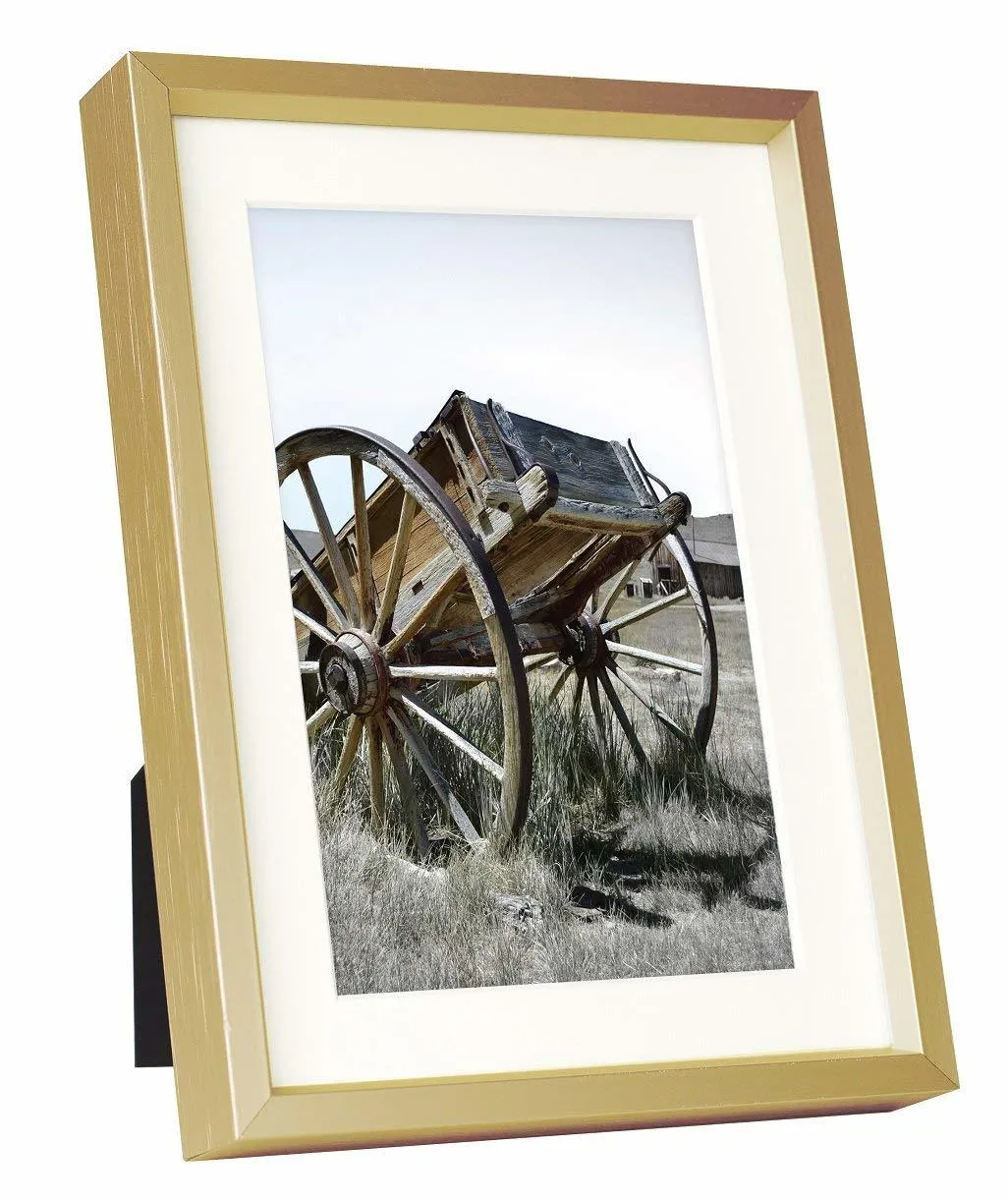 Gold Frames 8" x 10"