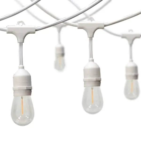 Edison Strand Lights Per Ft