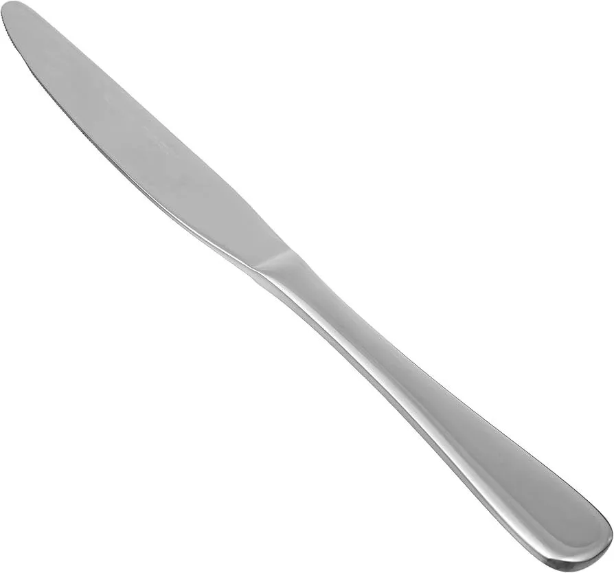 Stainless Steel Dinner Knife