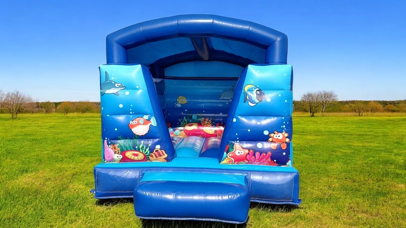 Springkussen | Sea Life