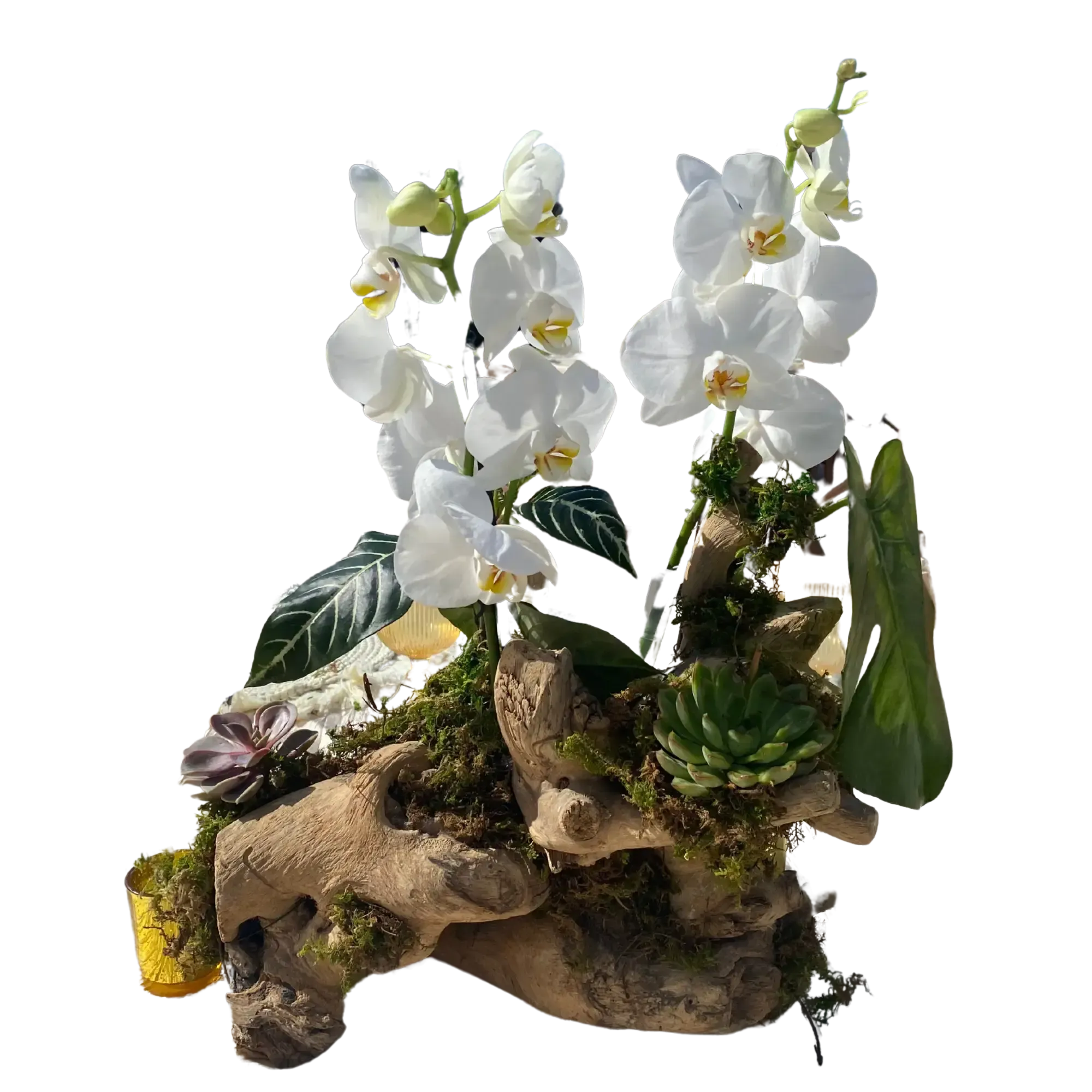 test 5