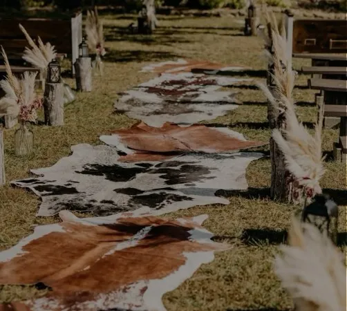 Cowhide Rugs and Longhorn Skull