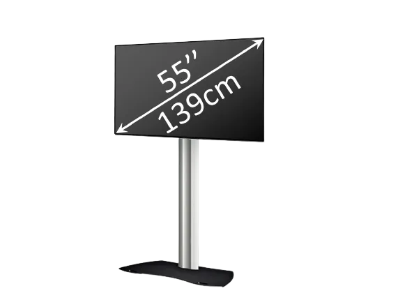 Kit écran plat 55 pouces avec pied