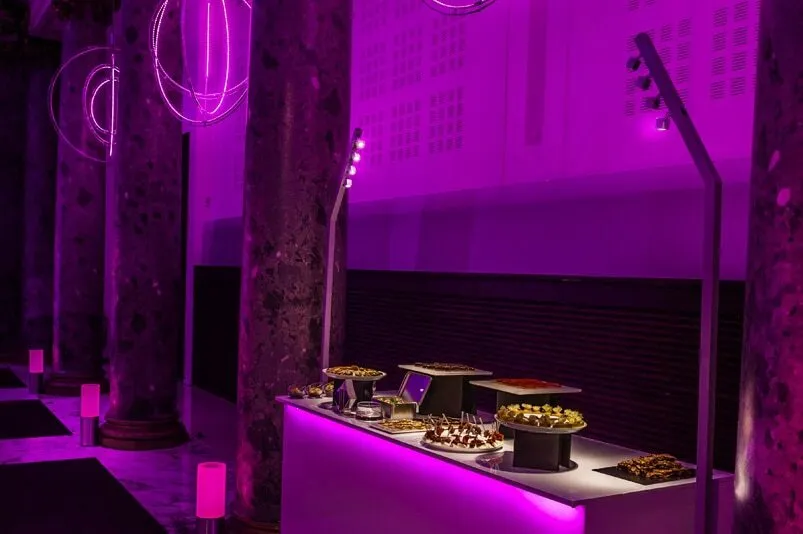 Kit 2 buffet pliant avec housse et 4 éclairage