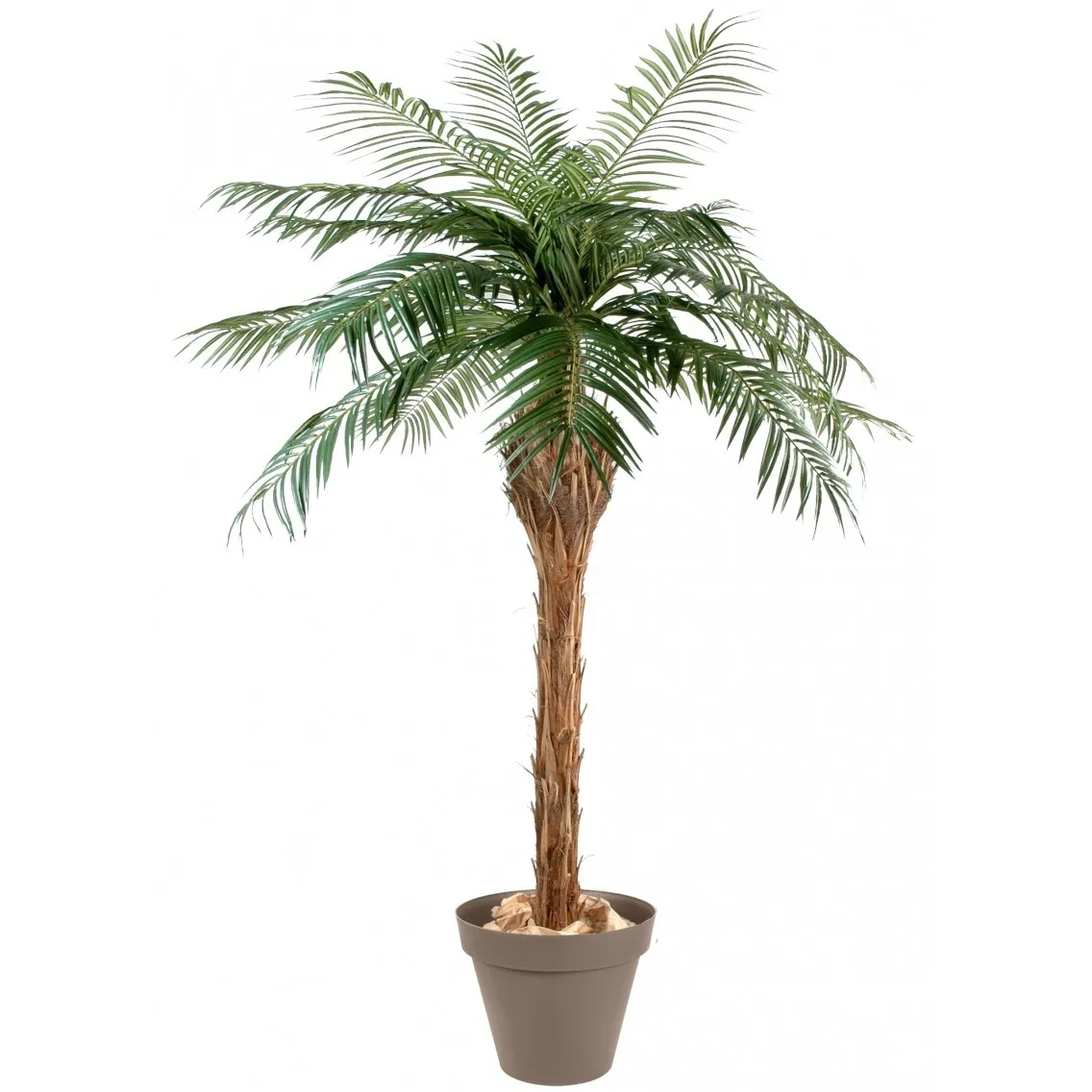 Palmier artificiel 2m4