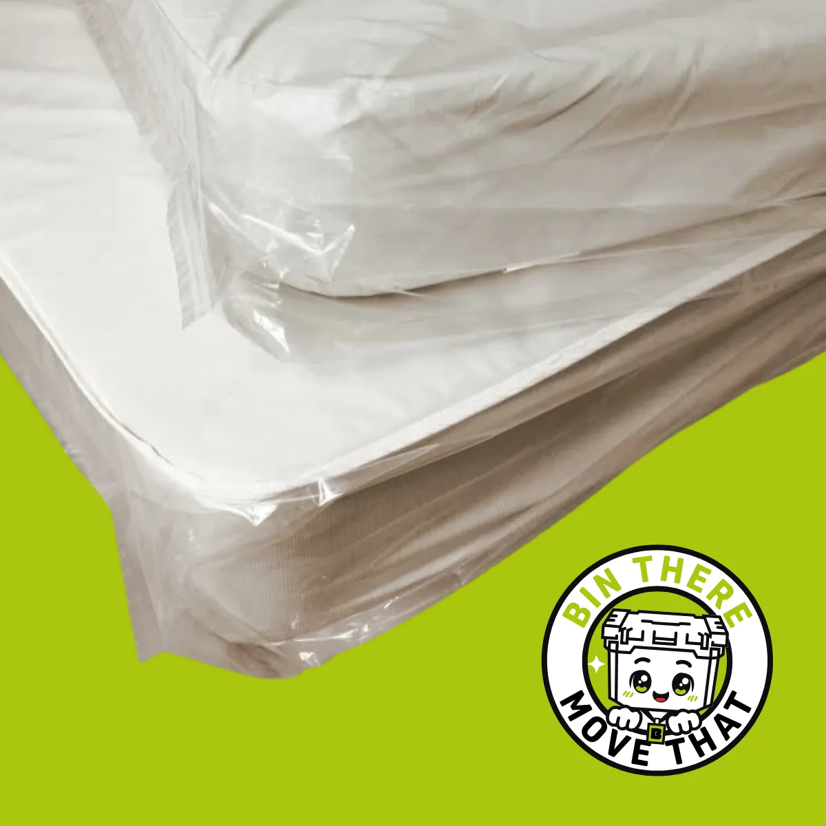 Queen Mattress Bag