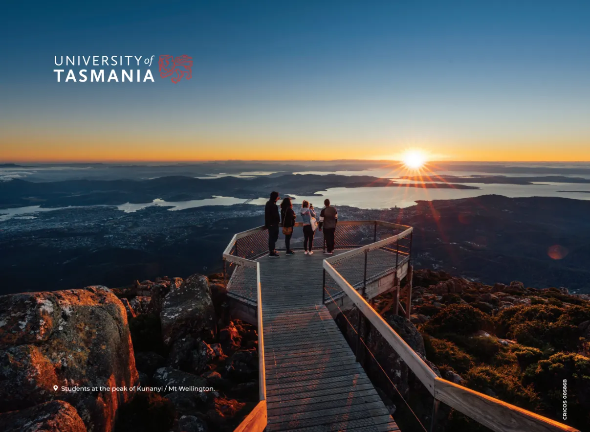 Kunanyi - 3m media wall & frame