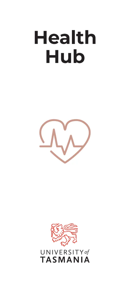 Health Hub - Flag (indoor/outdoor)