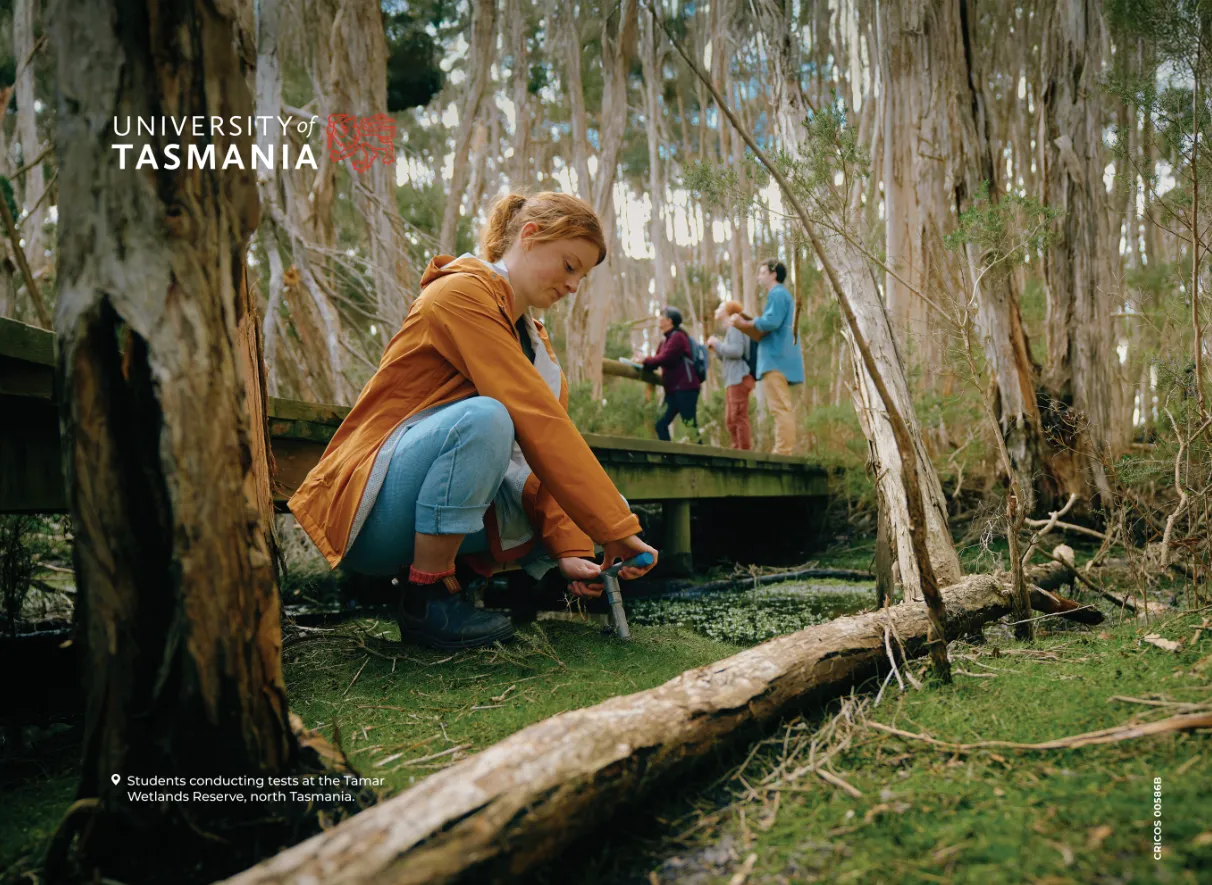 Wetlands - 3m media wall & frame