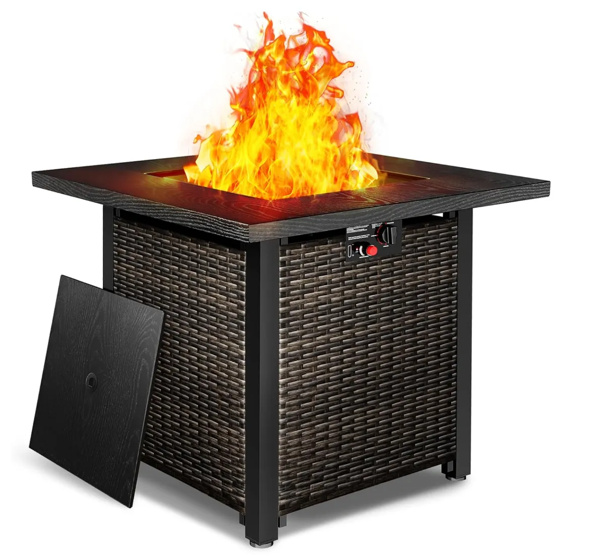 Fire Pit W/ Propane