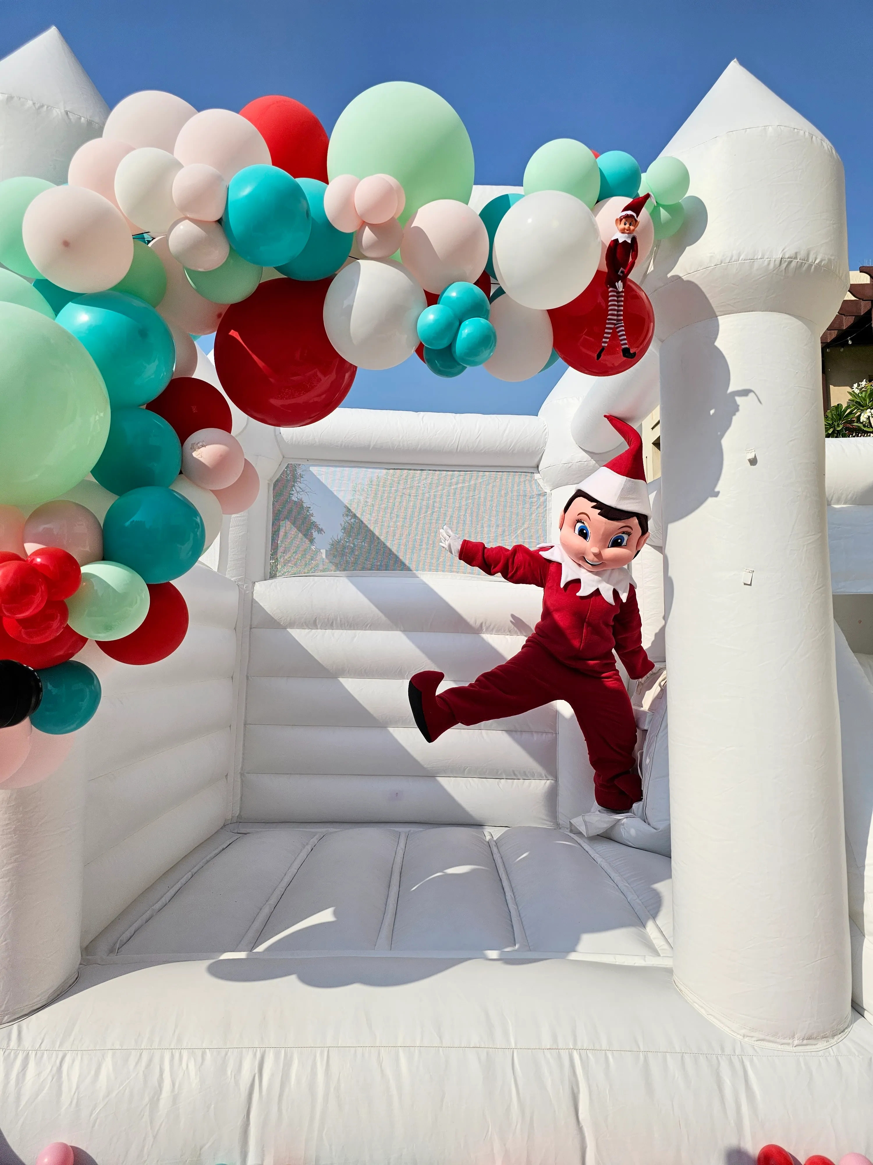 Elfie Home Visit