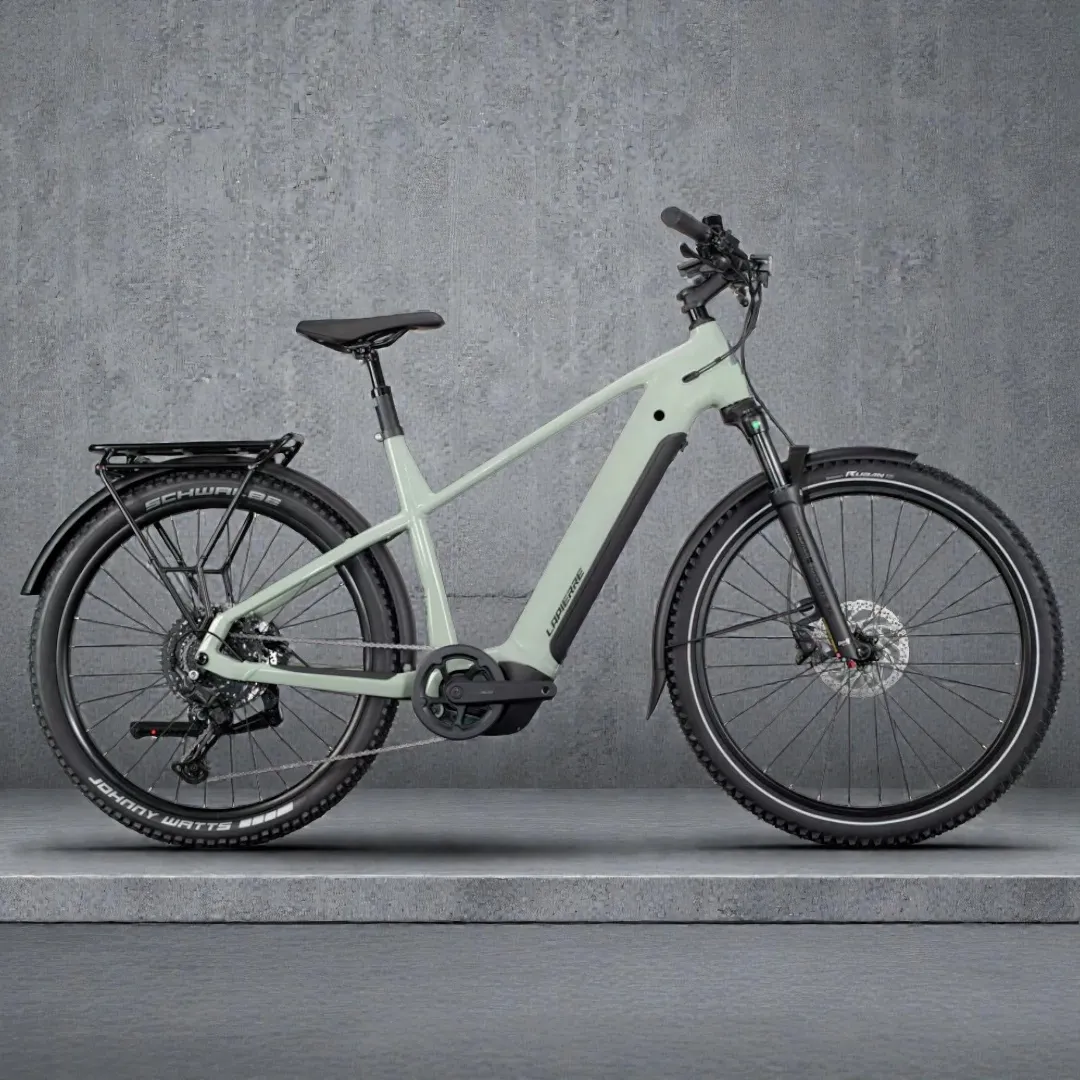 Electric MTB/Trekking Bike Rentals