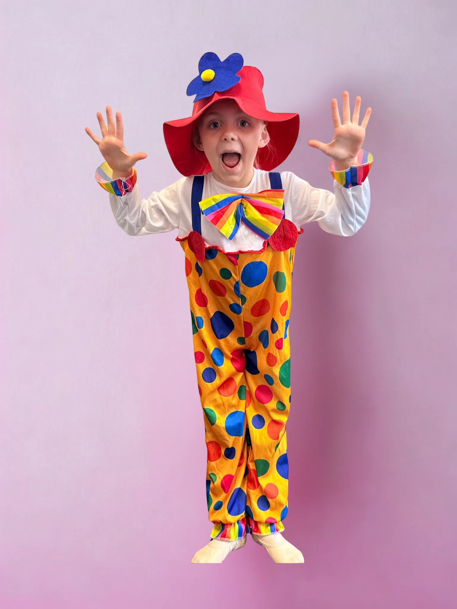Clown Costume