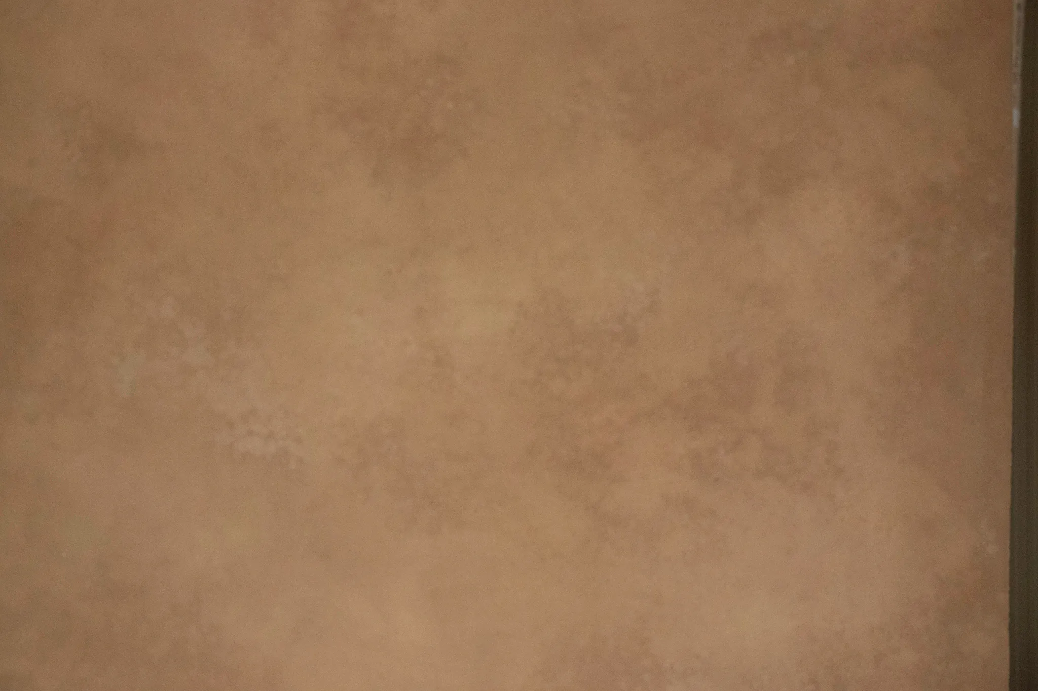 Bean There - 2m by 3m 