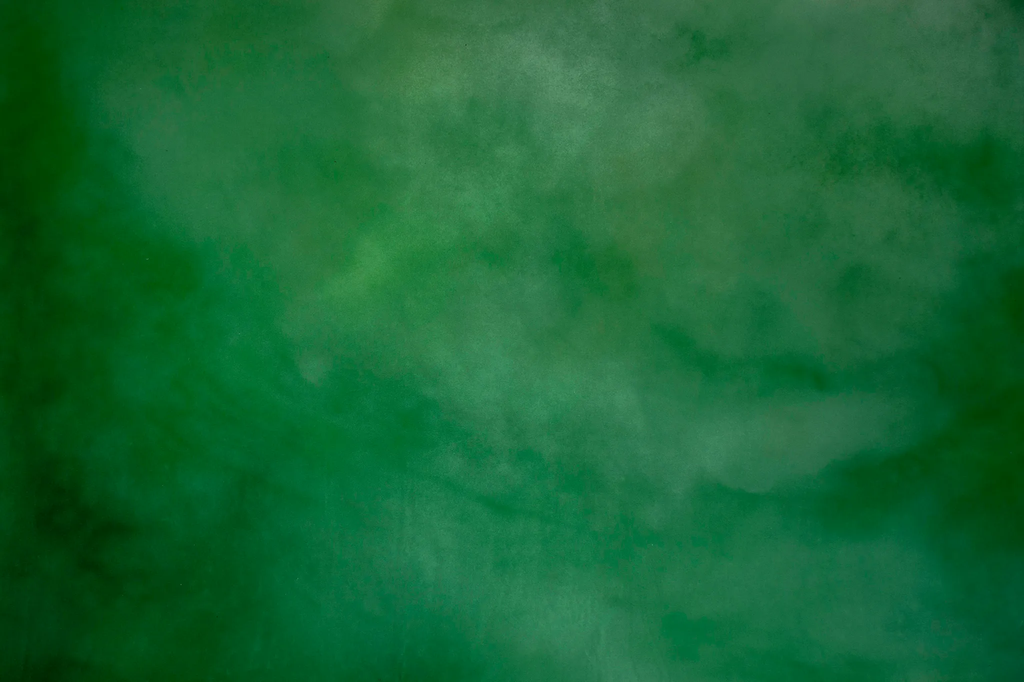 Quiet Bloom - 3m by 4m