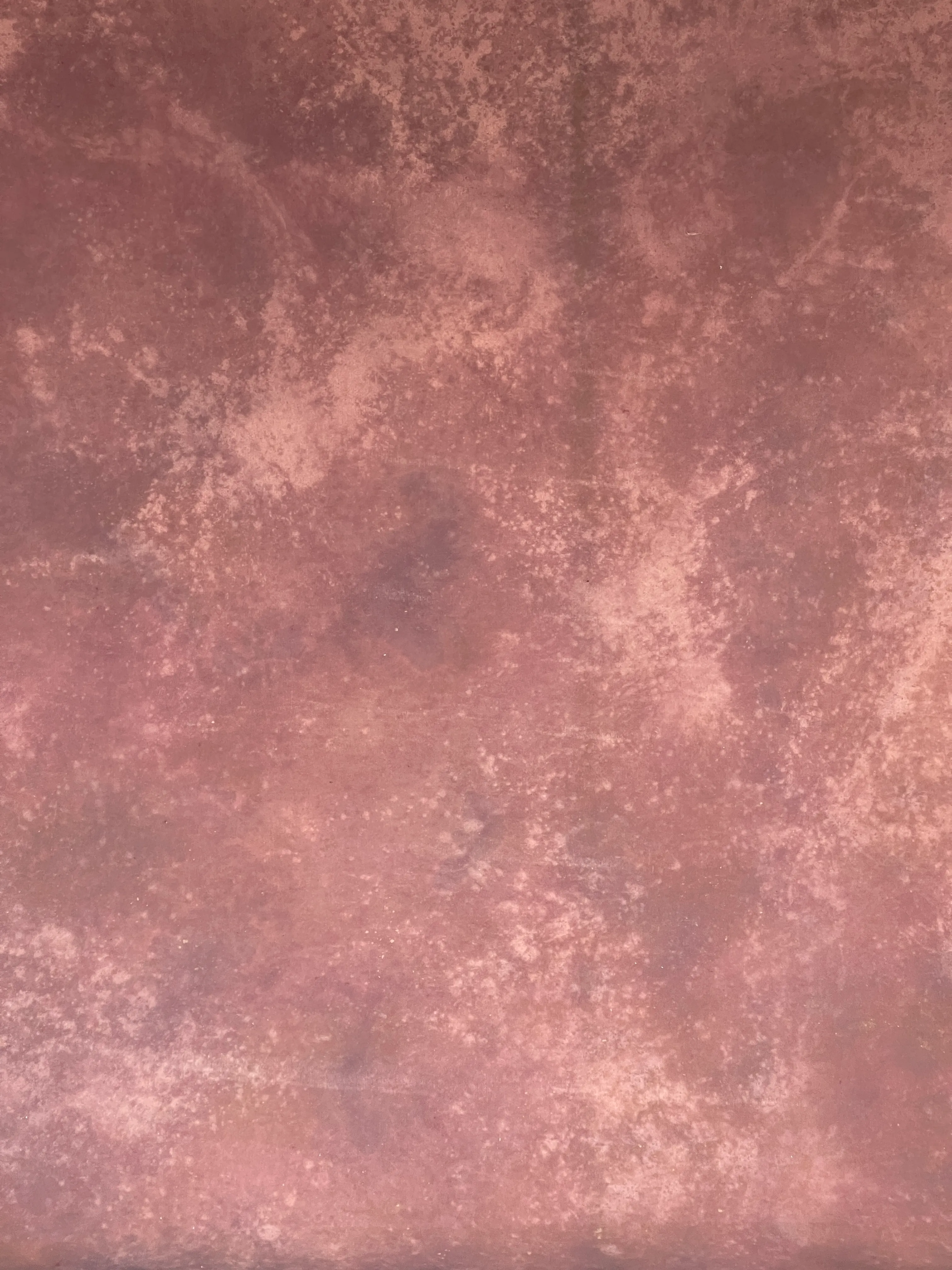 See "BERRY PIE" for this drop 2.7m by 3.6m