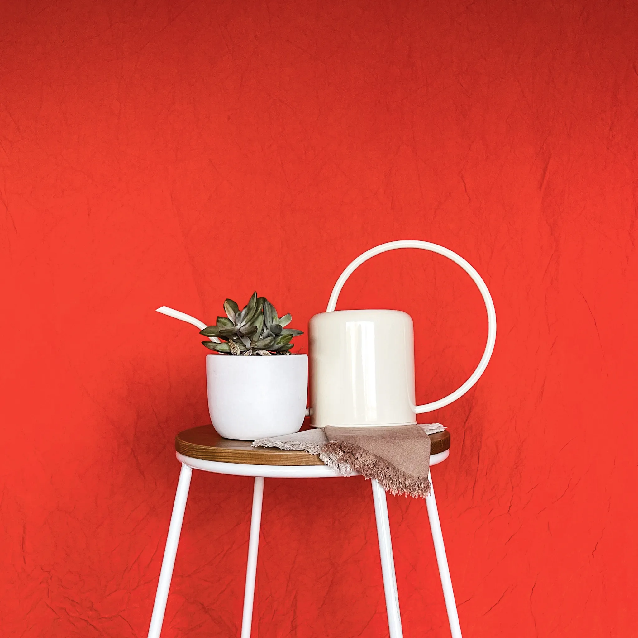 Squeeze Me & Spicey - 3m by 4m/1.8m by 3m