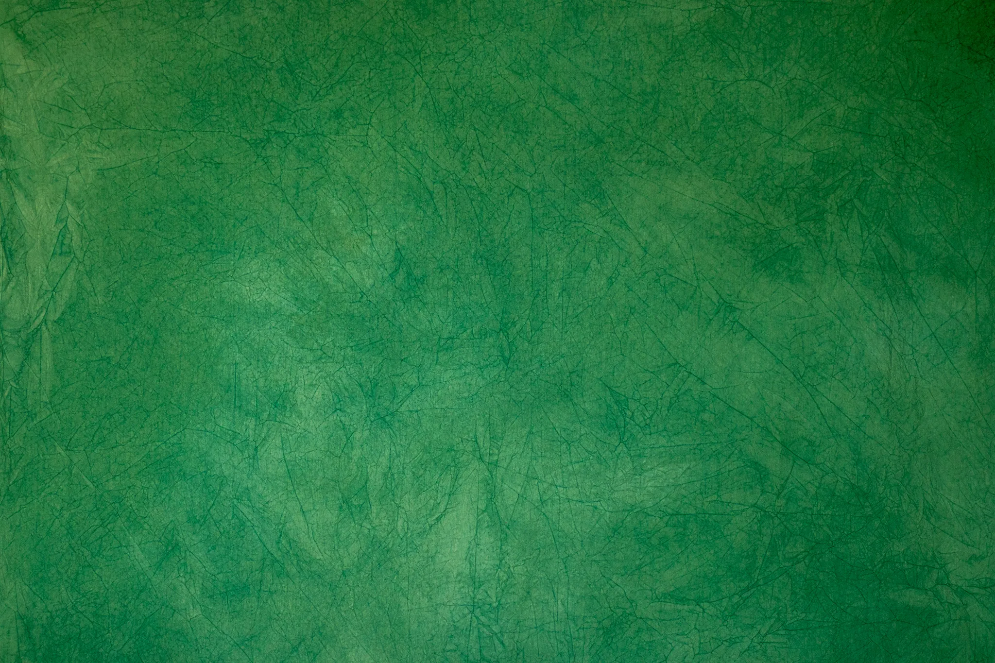 Sassy Pants - 3m by 4m appox