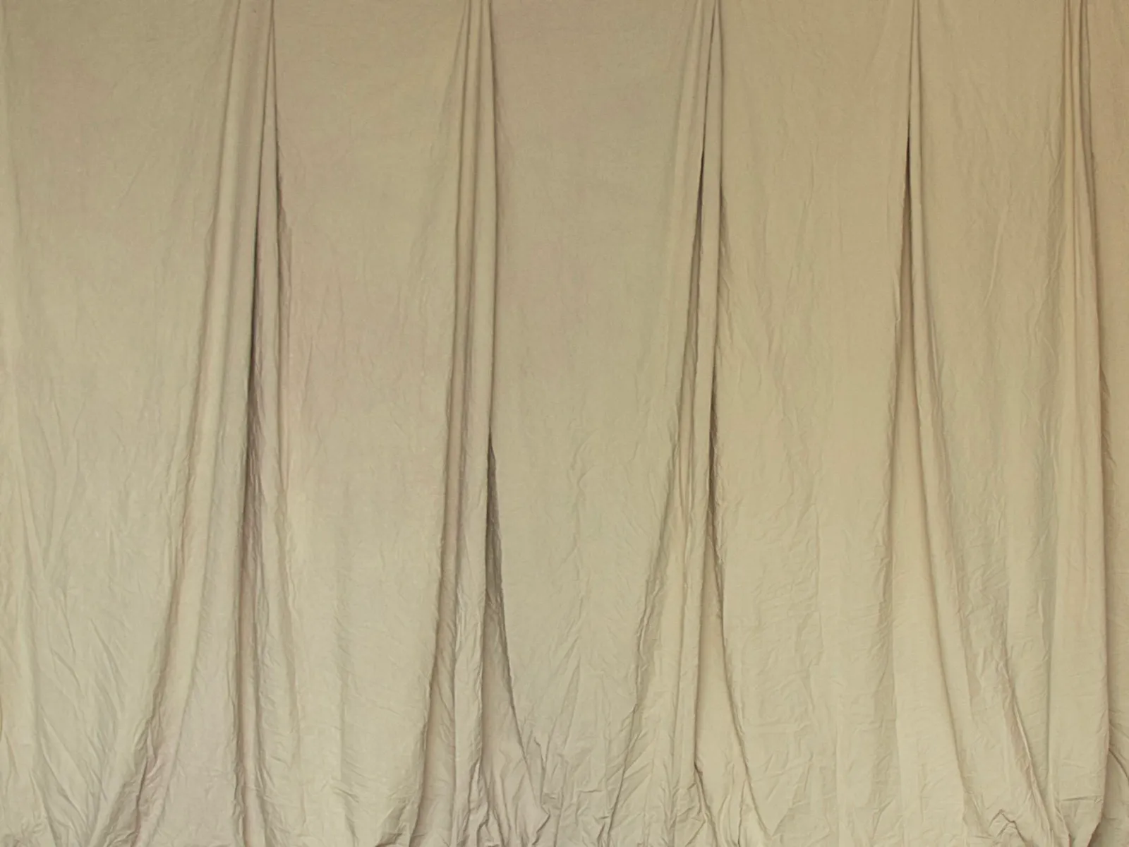 Vanilla Bean - 6m by 6m