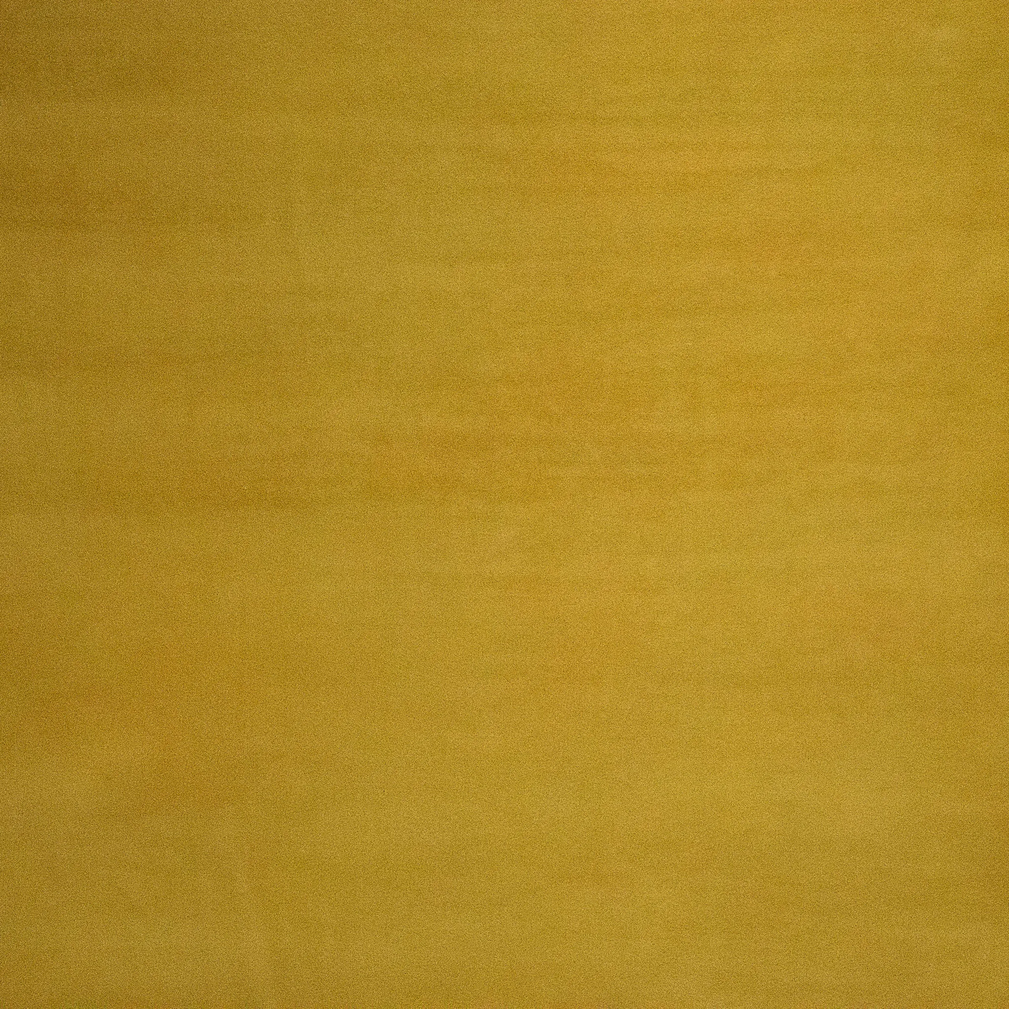 Canola Meadow - 2m by 3m