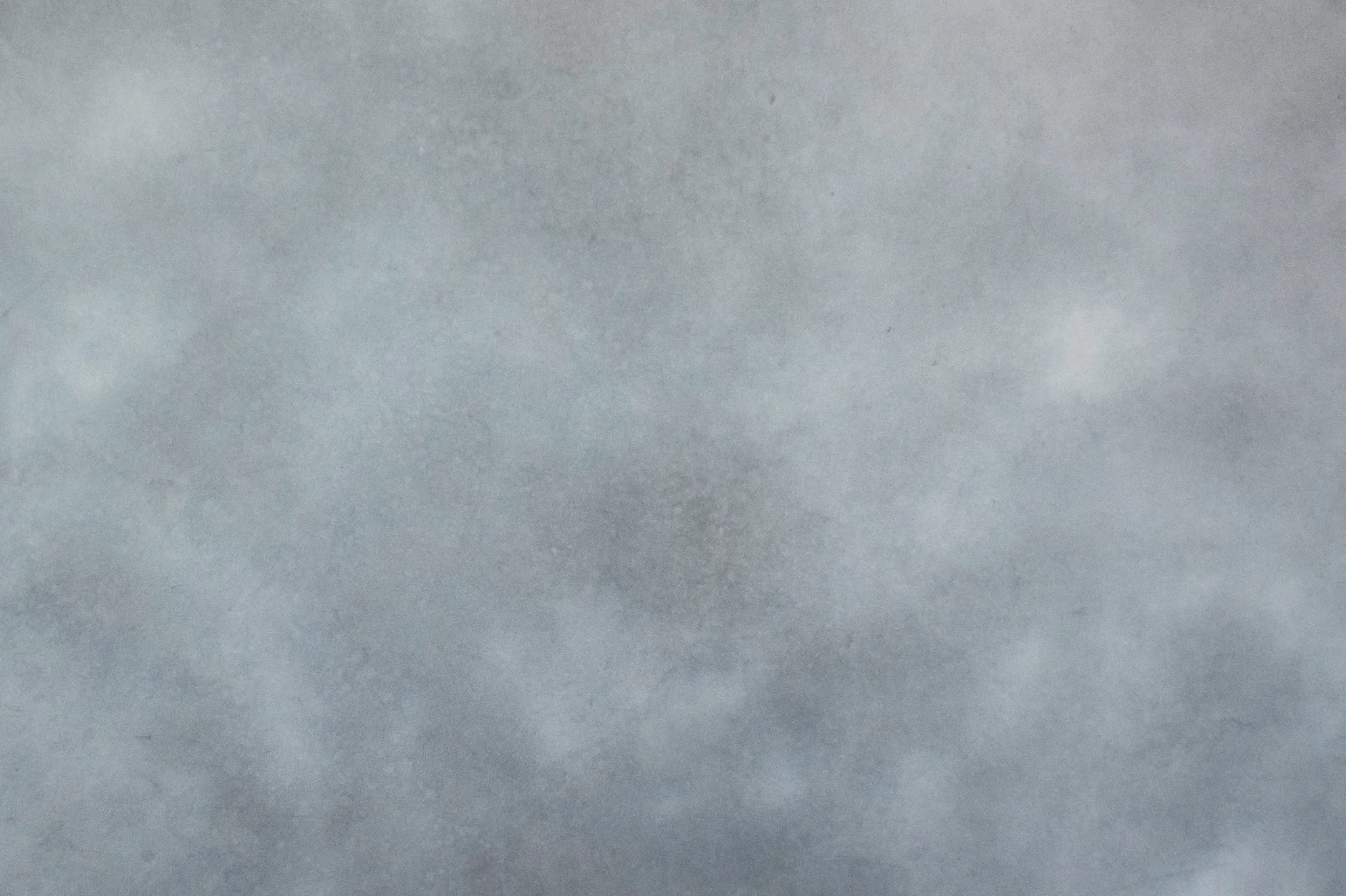 Paws & Reflect 3m by 4.5m