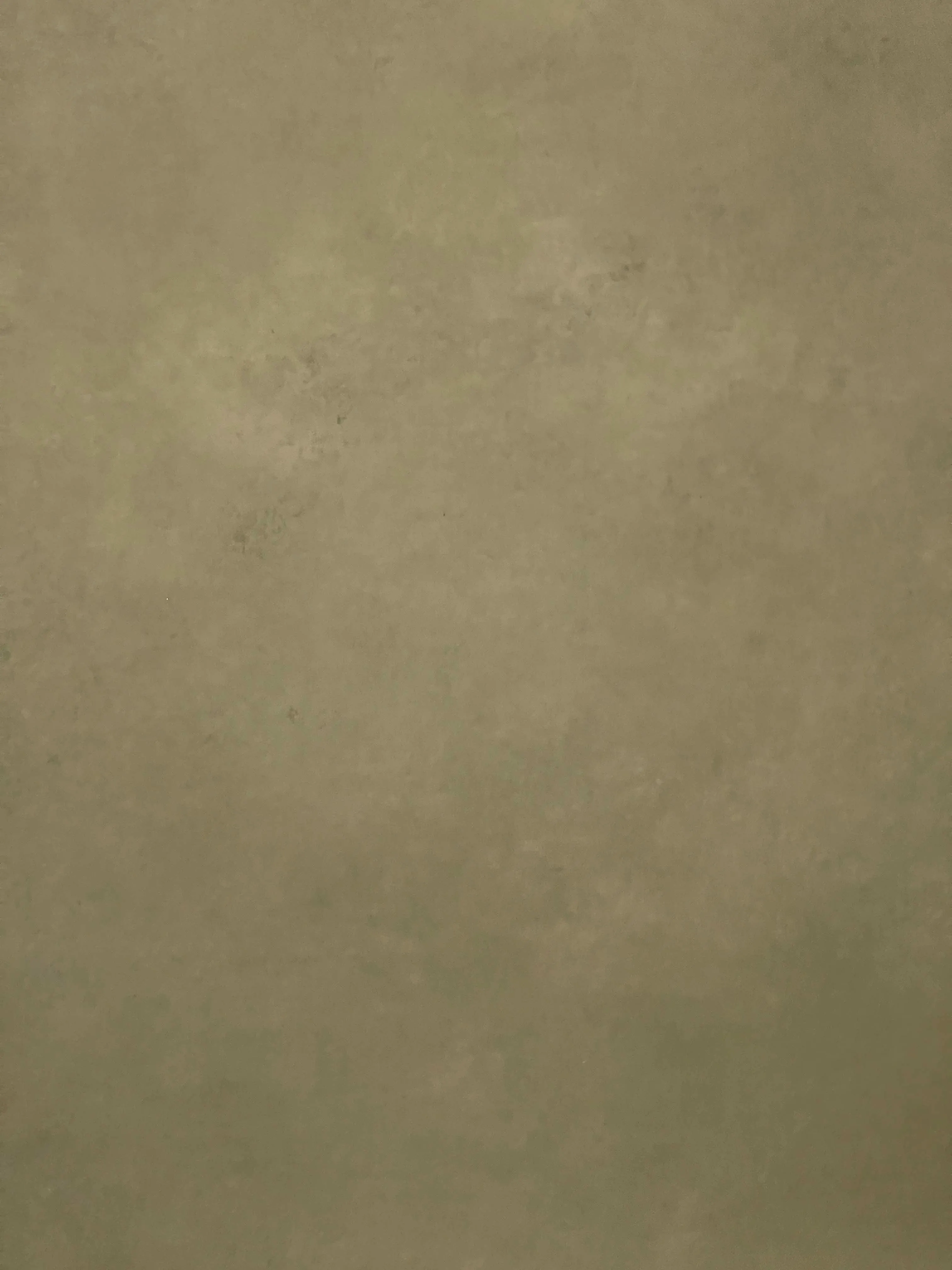 My Olive Is Sage - 2m by 4m