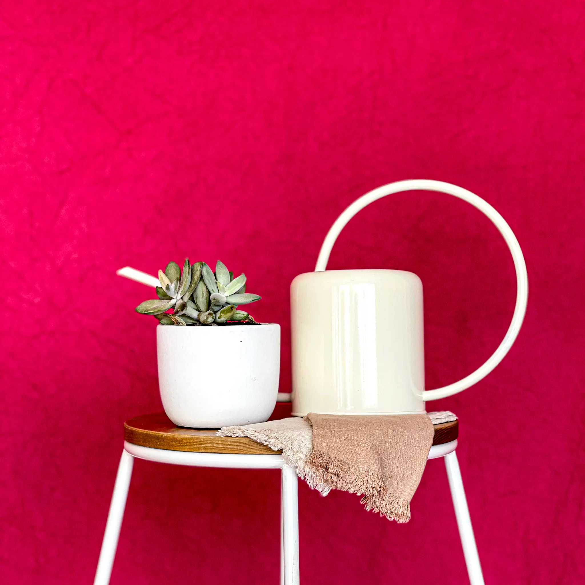 Hot Lips & Plum Jam - 3m by 4m/1.8m by 3m