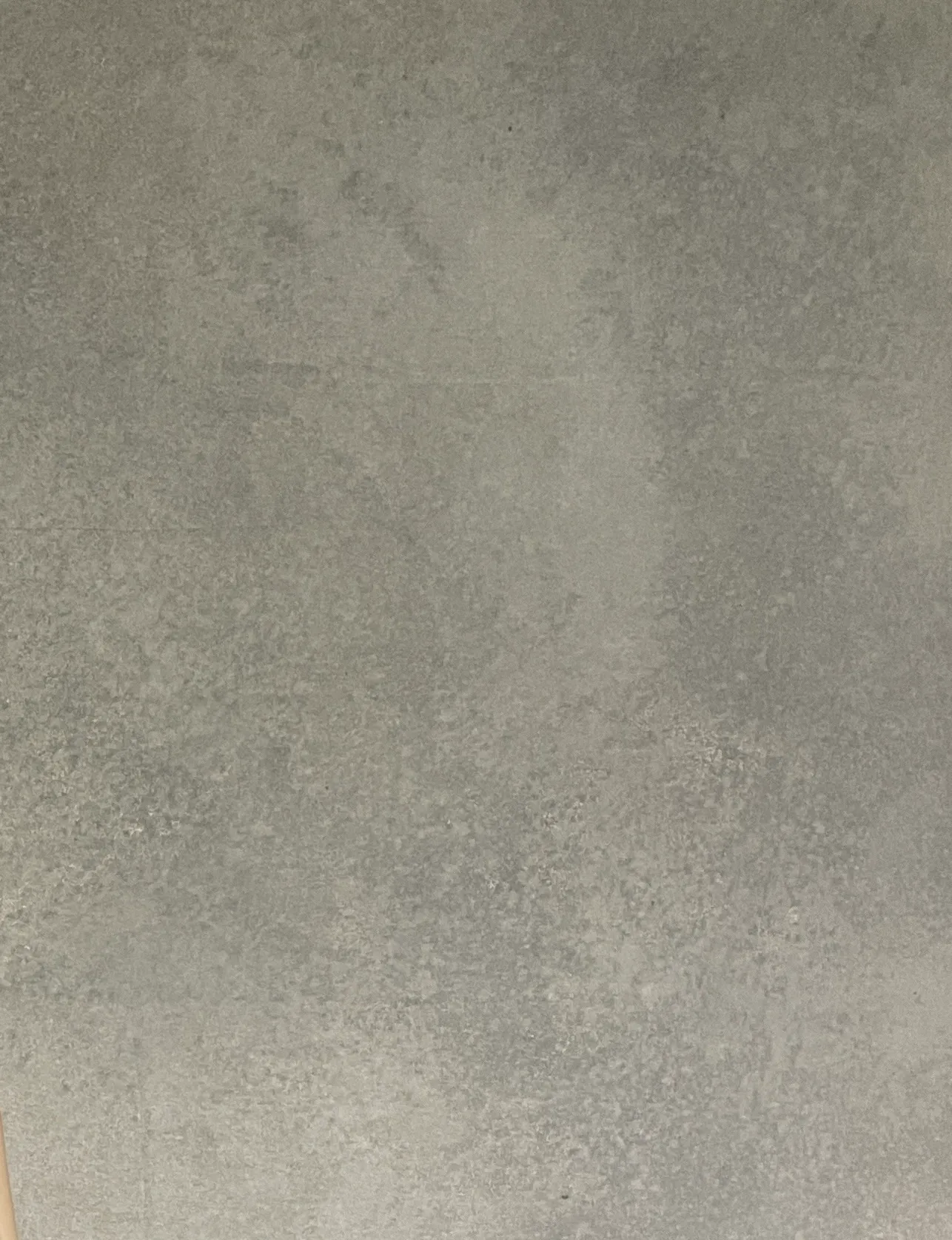 It Is What It Is - 4m by 7m