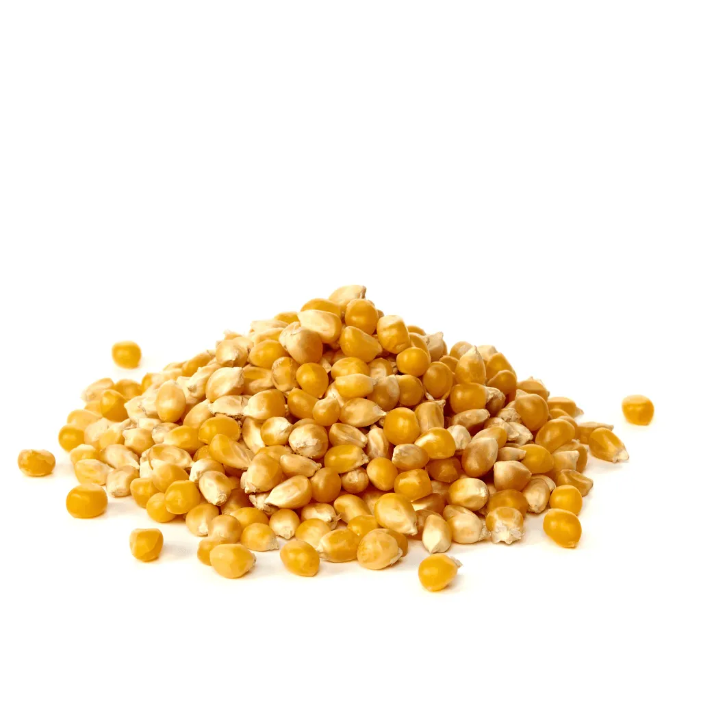 POPCORN KERNELS