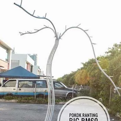 (CYB) Pokok Ranting White Big