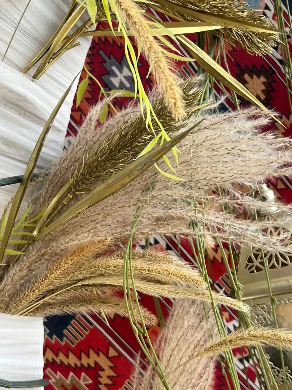 (SM) Cortaderia Selloana